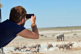 Western tourists will pay to see live elephants, not rotting carcasses [Glen Johnson/Al Jazeera]
