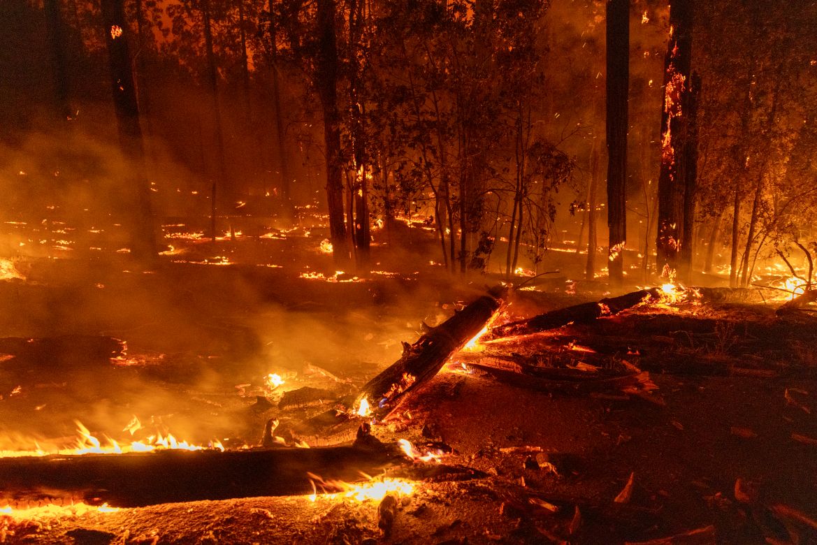 Fallen tree trunks and branches cover a road at the Oak Fire near Midpines