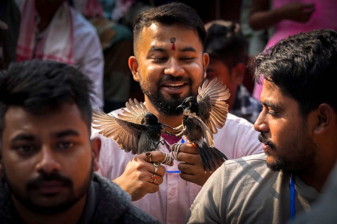 A man waits with his bulbul birds to participate in a fight