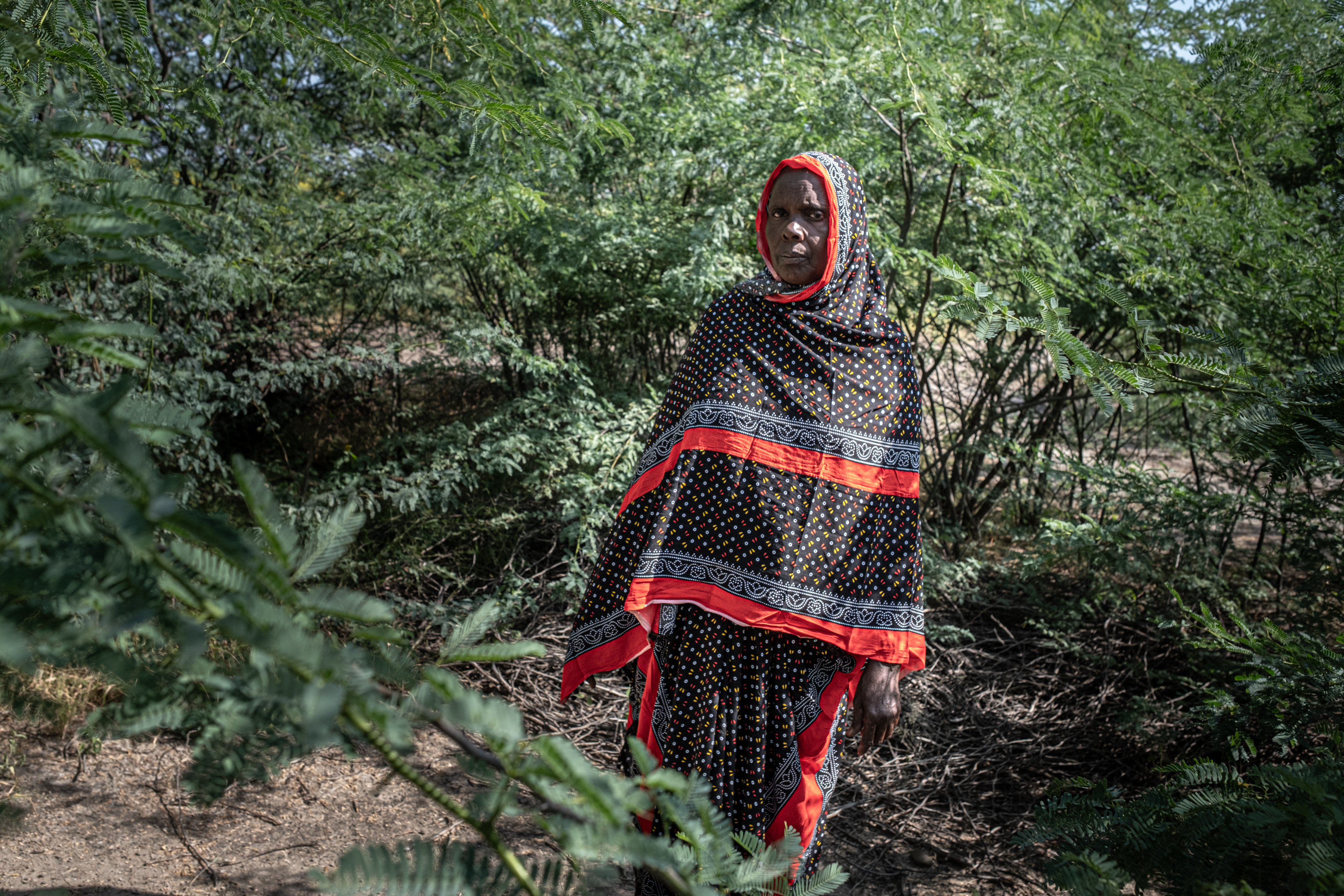 Non-native tree devastates Ethiopia’s ecosystems and threatens livelihoods