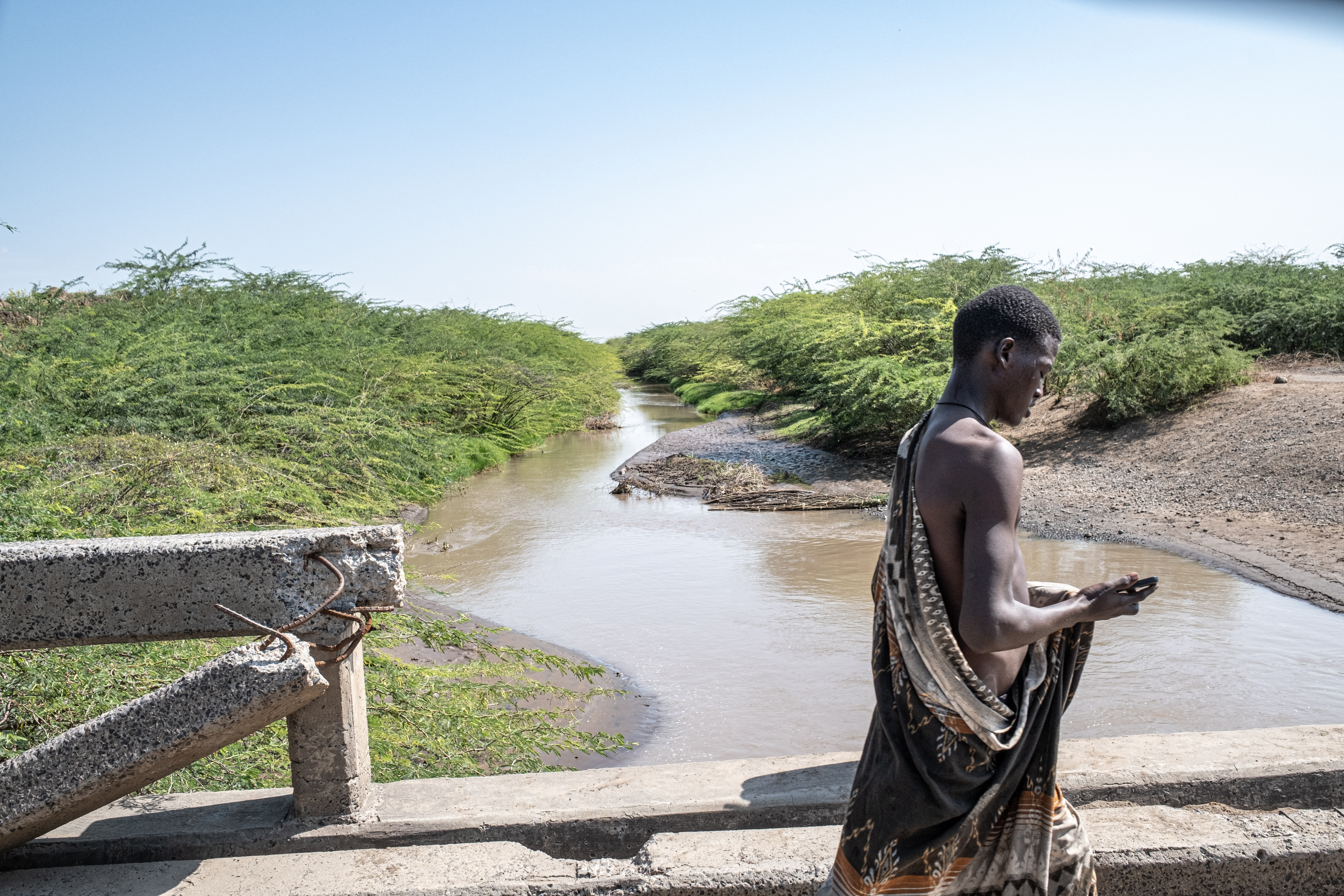 Non-native tree devastates Ethiopia’s ecosystems and threatens livelihoods